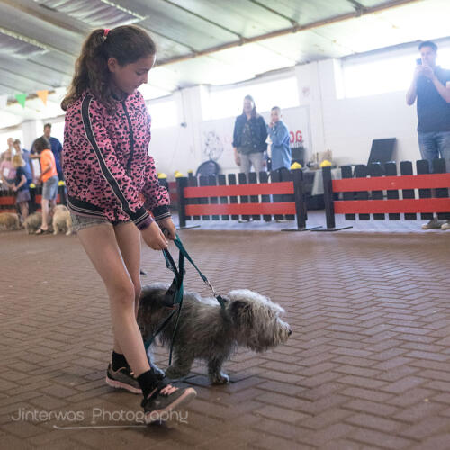 220515 1600 Jinterwas