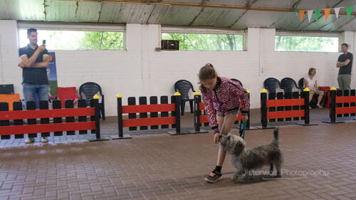 220515 1602 Jinterwas