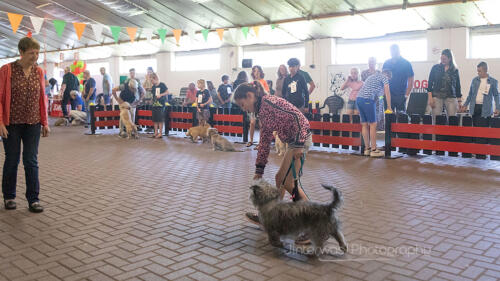 220515 1608 Jinterwas