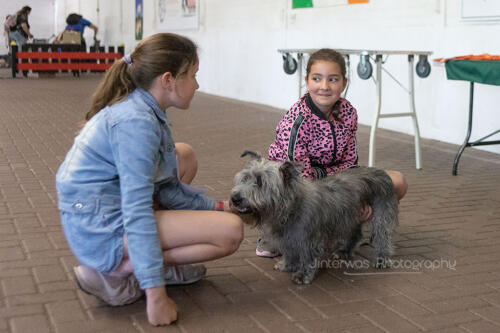 220515 1624 Jinterwas