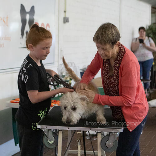 220515 1641 Jinterwas