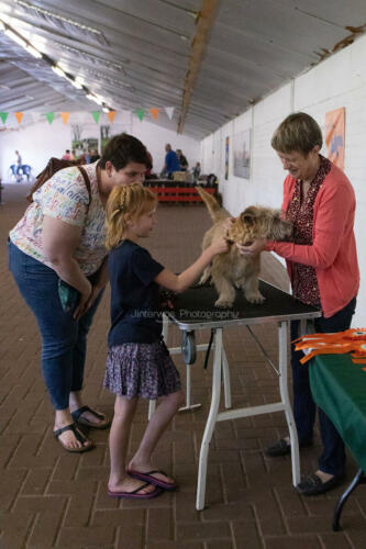 220515 1682 Jinterwas