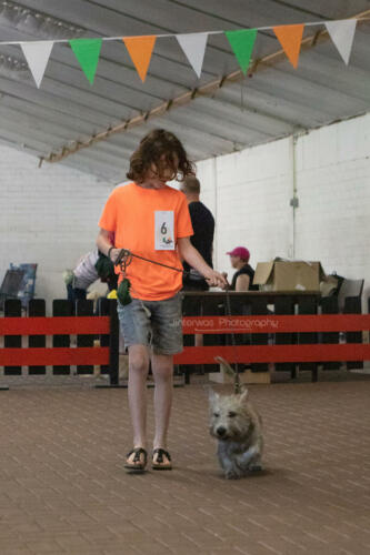 220515 1741 Jinterwas